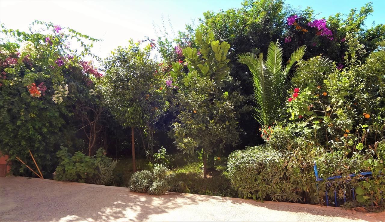 Surf & Yoga Paradise Morocco Hostel Tamraght Ou Fella Buitenkant foto