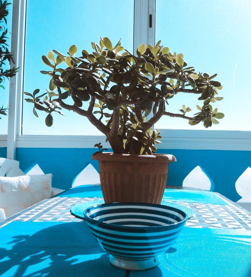 Surf & Yoga Paradise Morocco Hostel Tamraght Ou Fella Buitenkant foto