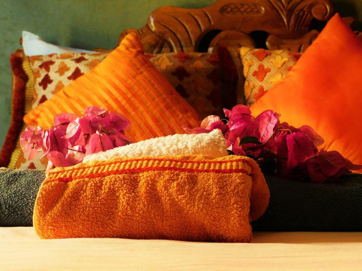 Surf & Yoga Paradise Morocco Hostel Tamraght Ou Fella Buitenkant foto