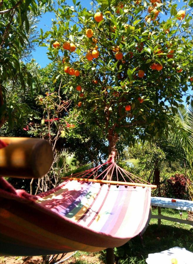 Surf & Yoga Paradise Morocco Hostel Tamraght Ou Fella Buitenkant foto